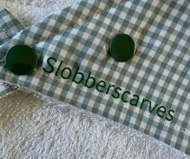 Duck Egg Blue Gingham Bamboo Dribble Bib