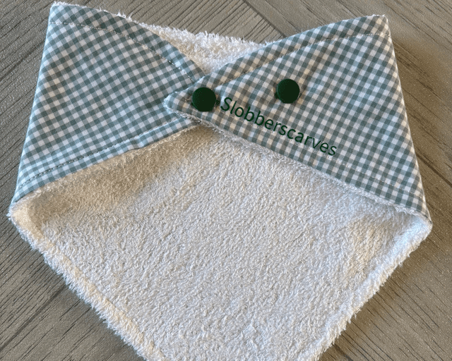 Duck Egg Blue Gingham Bamboo Dribble Bib